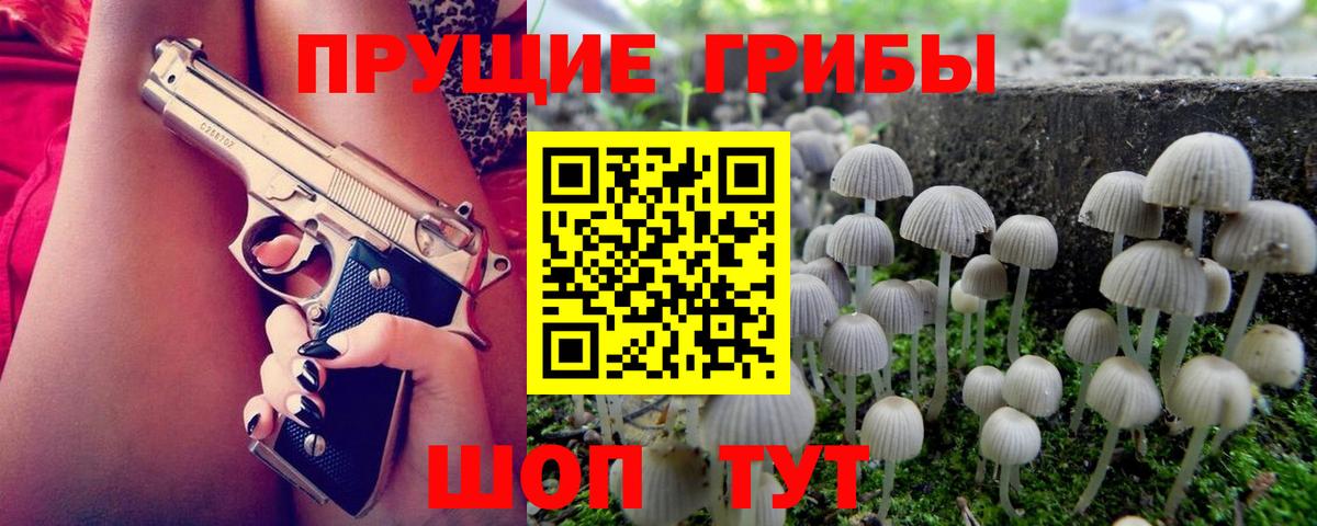 Унеча  как найти закладки  Вход с VPN  Псилоцибиновые грибы мицелий 