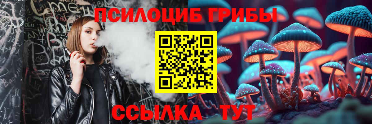 Псилоцибиновые грибы мухоморы Унеча